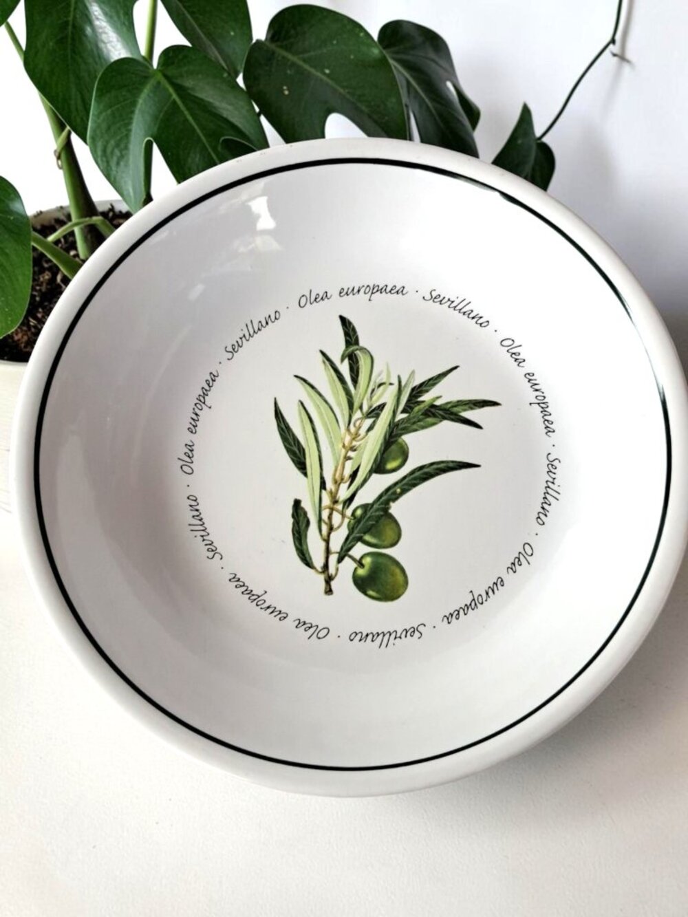 Williams Sonoma 9.5” Salad Pasta Bowl Olea Europaea Olives Stoneware Portugal